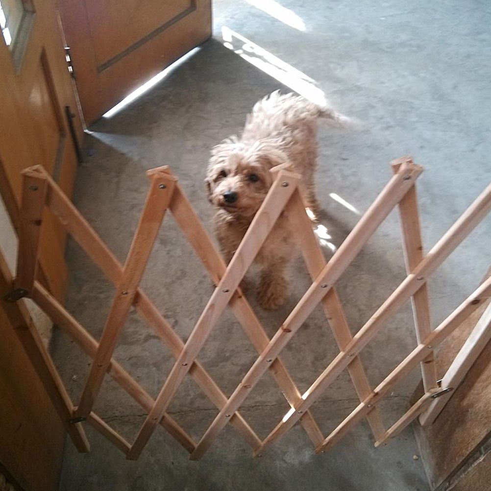 Pet Gate Retractable Adjustable Dog Sliding Door Wood Indoor Dog Gate Doorway Stairs Pet Puppy Safety Fence